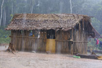 Regenzeit in Rurrenabaque